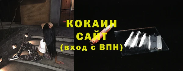 дмт Пересвет
