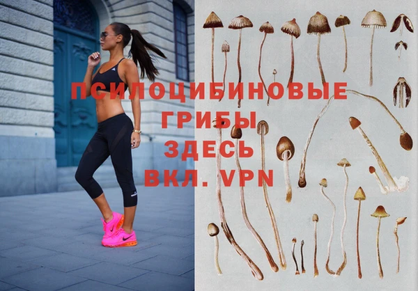 амфетамин Аркадак