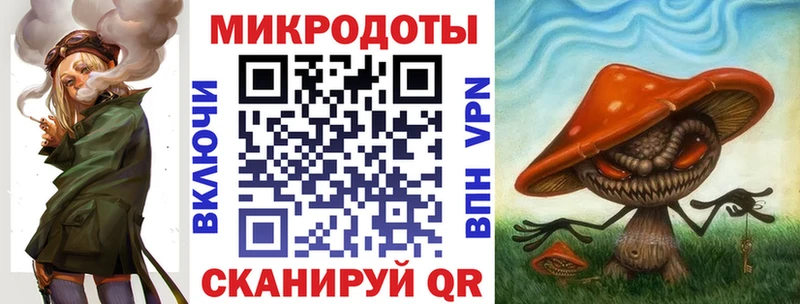 закладка  Инза  Псилоцибиновые грибы ЛСД 